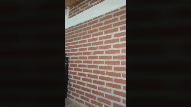 Lula_culoncita  02-02-2023
